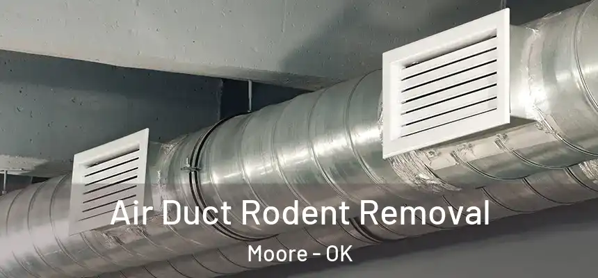  Air Duct Rodent Removal Moore - OK