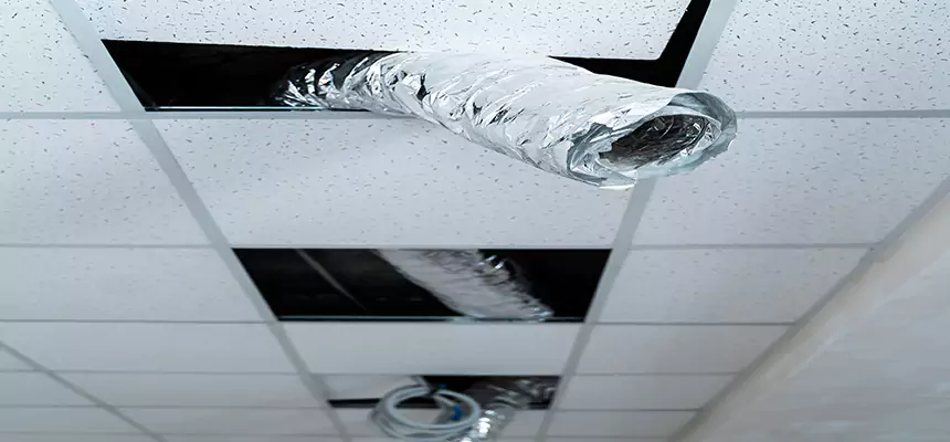 Our Air Duct Pet Hair Removal Services in Moore, OK