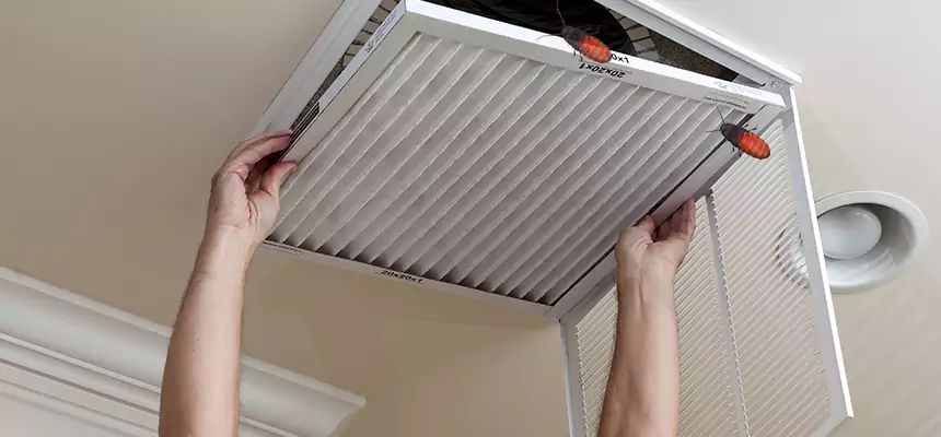 Our Insect Removal from Air Ducts Services in Moore, OK