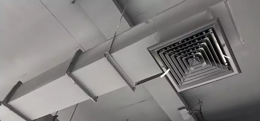 Our Rodent Droppings In Vents Services in Moore, OK