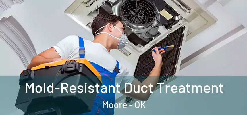  Mold-Resistant Duct Treatment Moore - OK