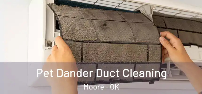  Pet Dander Duct Cleaning Moore - OK