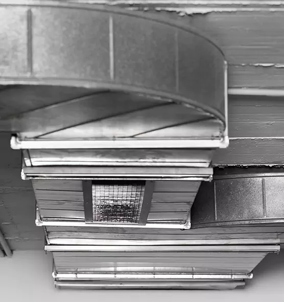 Professional Air Duct Pest Removal in Moore, OK