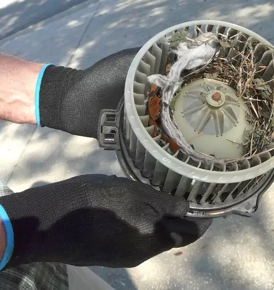 About Air Duct Rat Removal in Moore, OK