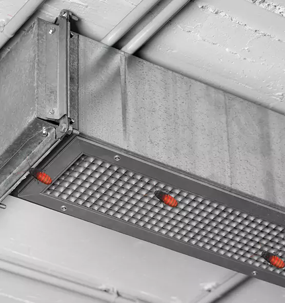 Affordable Insect Removal from Air Ducts in Moore, OK