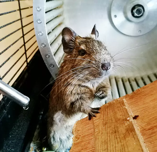 Why Homeowners & Businesses Trust Us Moore, OK